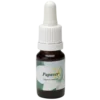 Papaver / Pavot 10ml.