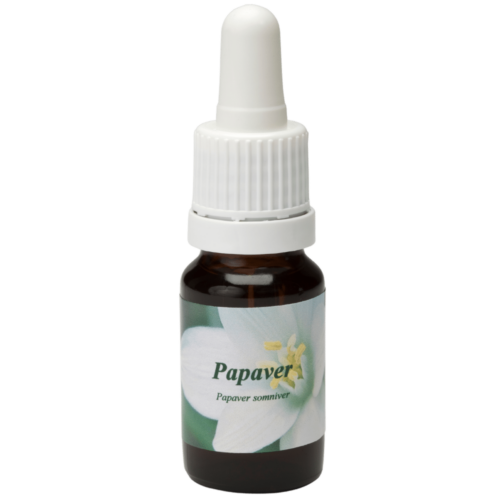 Papaver / Mohn 10ml.