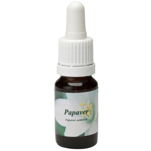 Papaver / Pavot 10ml.