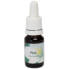 Peer / Birne 10ml.