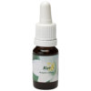 Riet / Rohr 10ml.