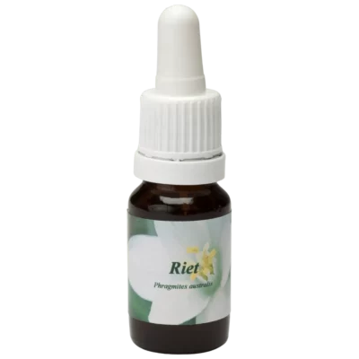 Riet / tubo 10ml.