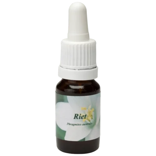 Riet / tube 10ml.