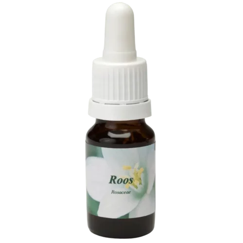 Roos / Rose 10ml.