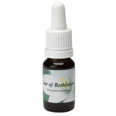 Estrela de Belém / Stern von Bethlehem 10ml.