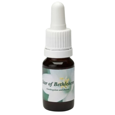 Estrela de Belém / Stern von Bethlehem 10ml.