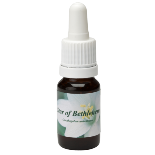 Star of Bethlehem / Stern von Bethlehem 10ml.
