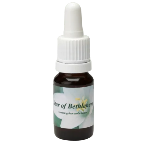 Star of Bethlehem / Étoile de Bethléem 10ml.