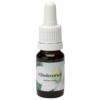 Vlinderstruik / Schmetterlingflieder 10ml.