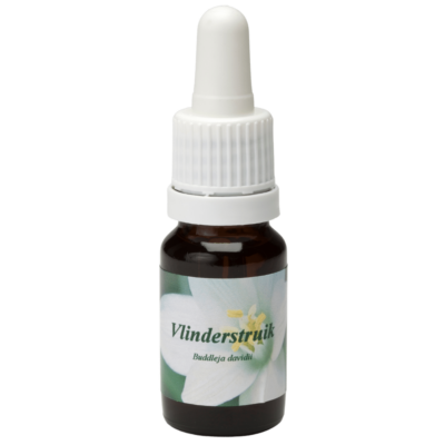 Vlinderstruik / Schmetterlingflieder 10ml.