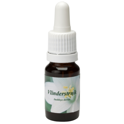 Vlinderstruik / Schmetterlingflieder 10ml.
