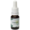 Waterlelie / Nénuphar 10ml.