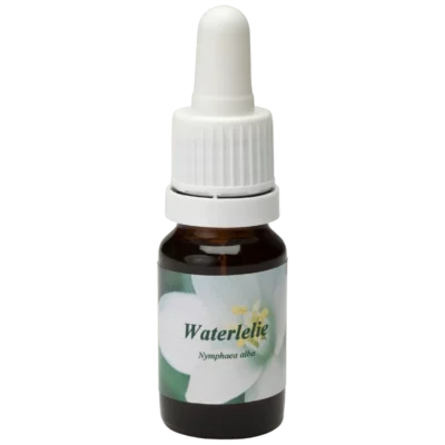 Waterlelie / Nénuphar 10ml.