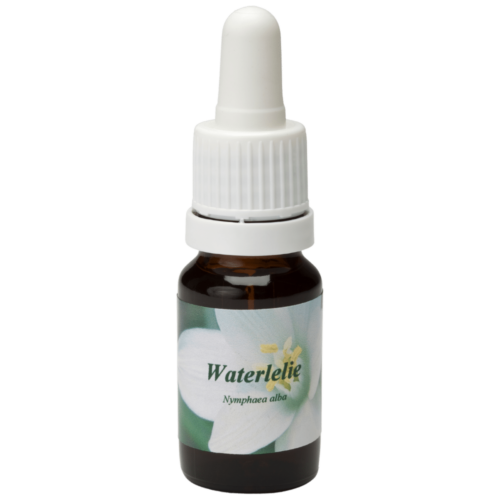 Waterlelie / Wasserlilie 10ml.