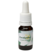Eucalypthus / Eukalyptus 10ml.