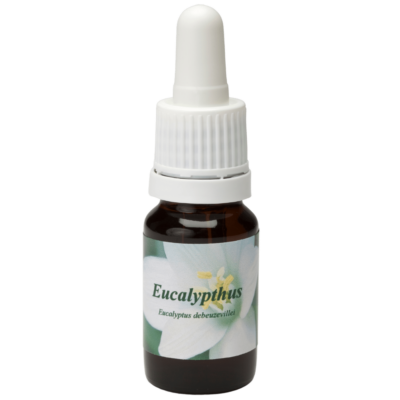 Eucalypthus / Eucalyptus 10ml.