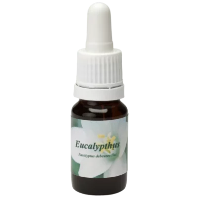 Eucalypthus / Eucalyptus 10ml.