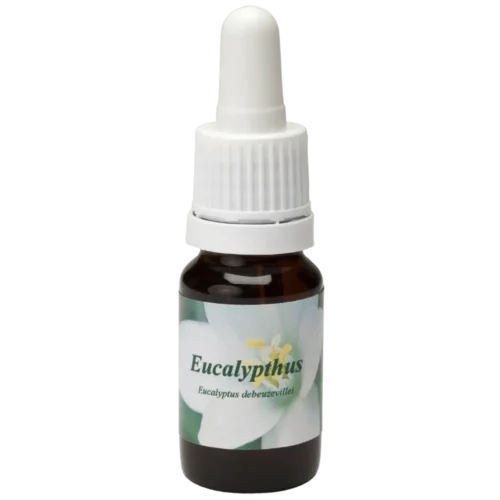 Eucalipto / Eucalyptus 10ml.