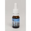 Easter Island 10ml. - Seven Essentials