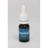 Atlantis 10ml. - Seven Essentials